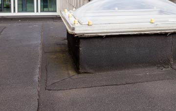disadvantages of Birdbush flat roofs