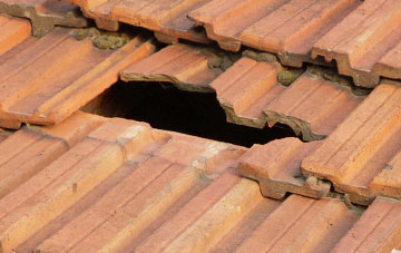 roof repair Birdbush, Wiltshire