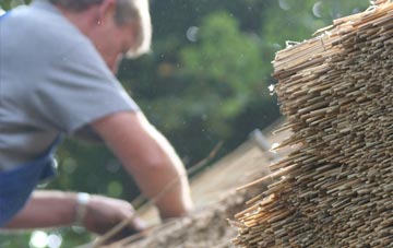 professional Birdbush thatchers