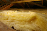Birdbush pitch roof insulation