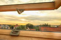 rated Birdbush roof window companies