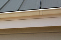 Birdbush soffit repair